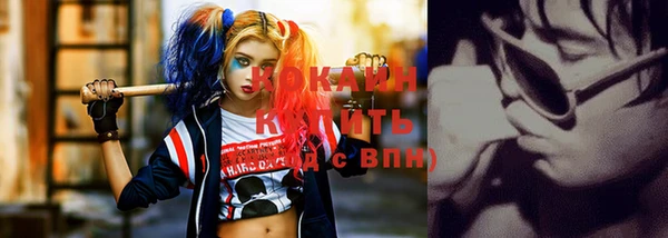 стафф Алексин
