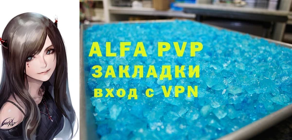 стафф Алексин