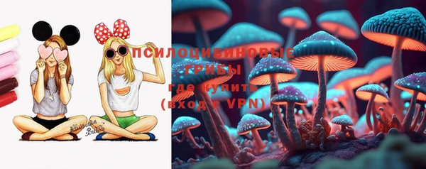стафф Алексин