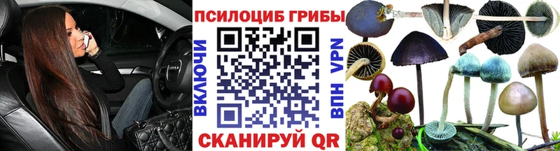 Галлюциногенные грибы Psilocybine cubensis  Набережные Челны 
