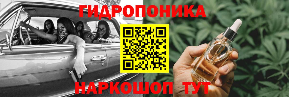 Бошки Шишки гибрид  Каннабис OG Kush  Вход с VPN  Набережные Челны  Каннабис план 